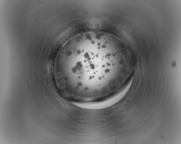 X0000090440233200707272201