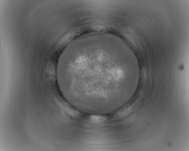 X0000090440234200707272201