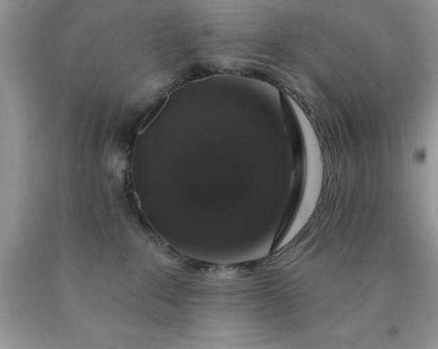 X0000090440235200707272201