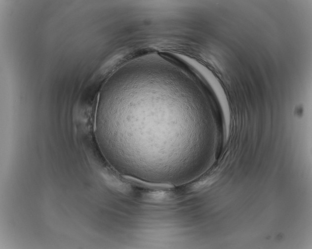 X0000090440237200707272201