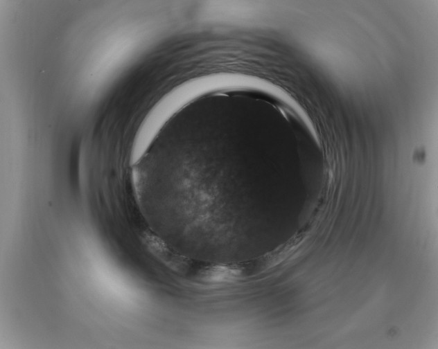 X0000090440239200707272201