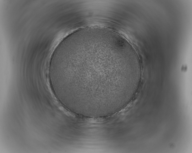 X0000090440241200707272200