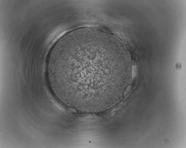 X0000090440243200707272200