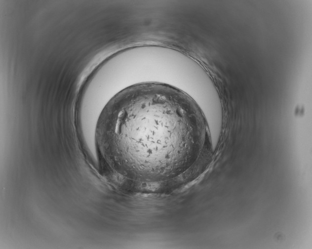 X0000090440244200707272200