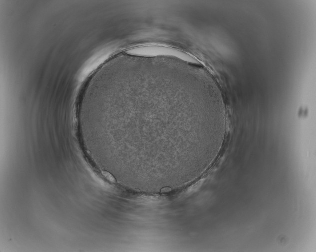 X0000090440245200707272200