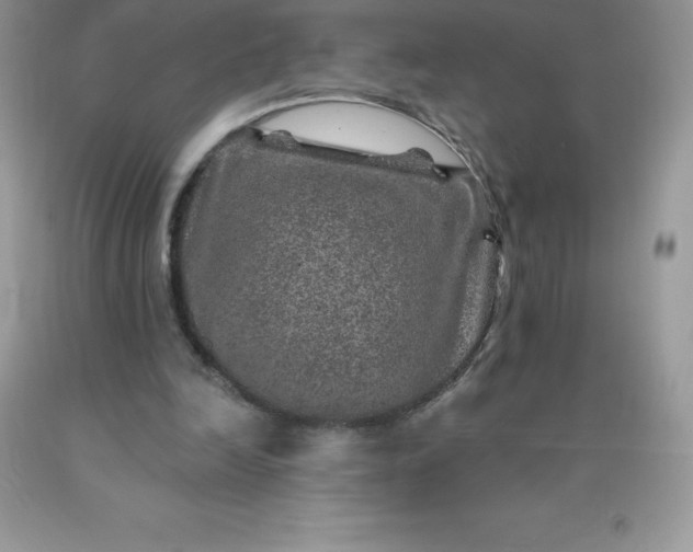 X0000090440246200707272200