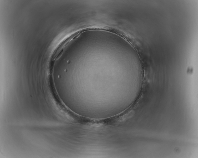 X0000090440247200707272200