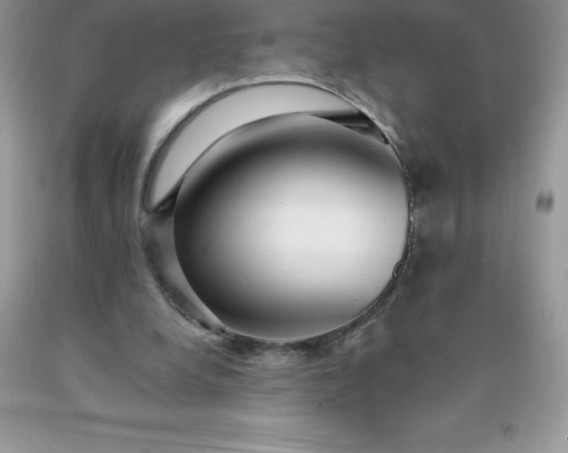 X0000090440248200707272200