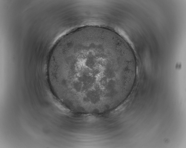 X0000090440249200707272200