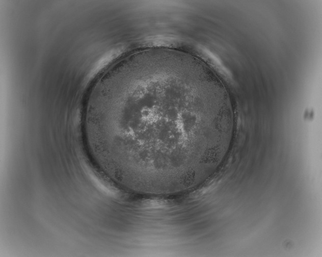 X0000090440250200707272200