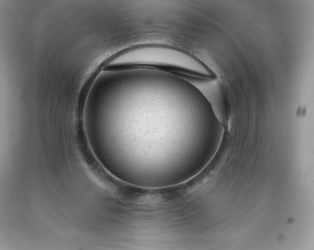 X0000090440252200707272200