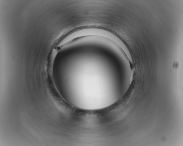 X0000090440256200707272200