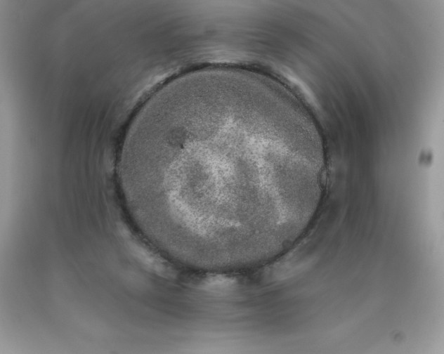 X0000090440257200707272200