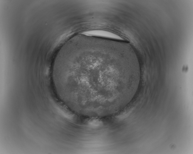 X0000090440258200707272200