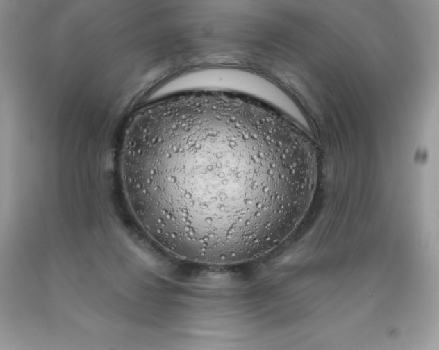 X0000090440260200707272200