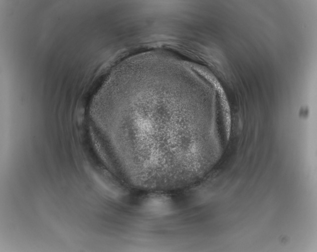 X0000090440263200707272200