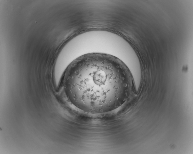 X0000090440264200707272200