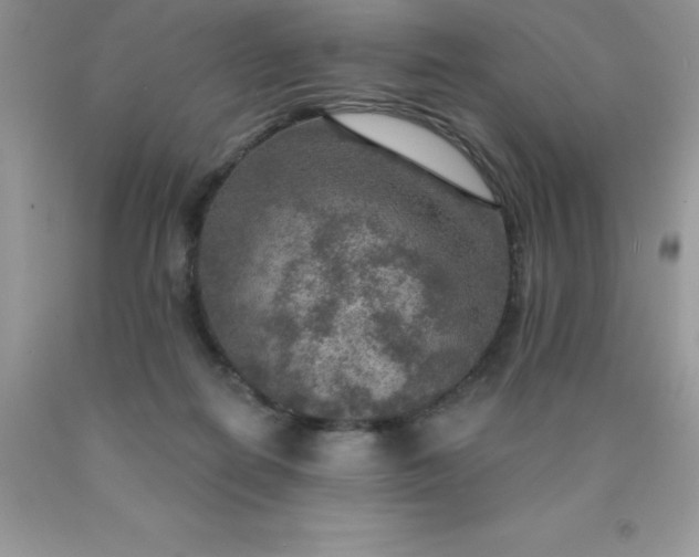 X0000090440266200707272200