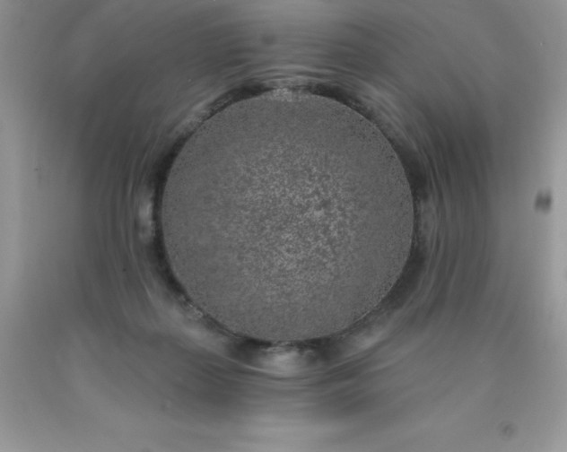 X0000090440267200707272200