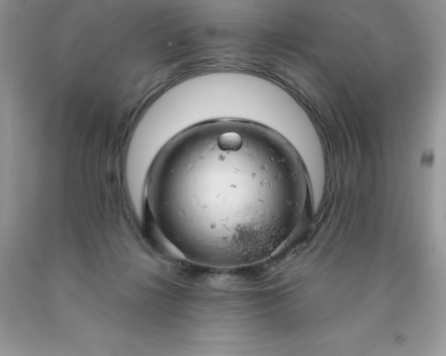 X0000090440268200707272200