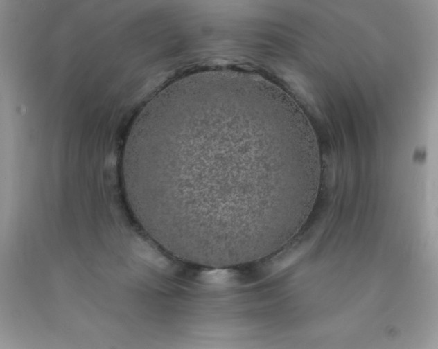 X0000090440269200707272200