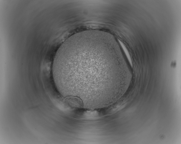 X0000090440271200707272200