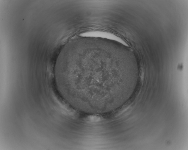 X0000090440272200707272200