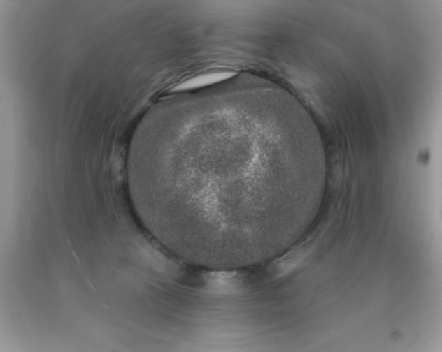 X0000090440273200707272200