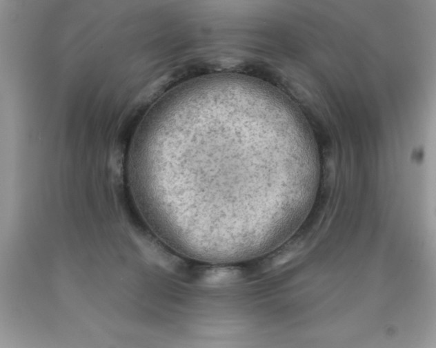 X0000090440274200707272200