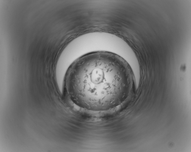 X0000090440276200707272201