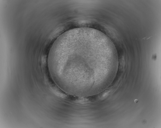 X0000090440278200707272201