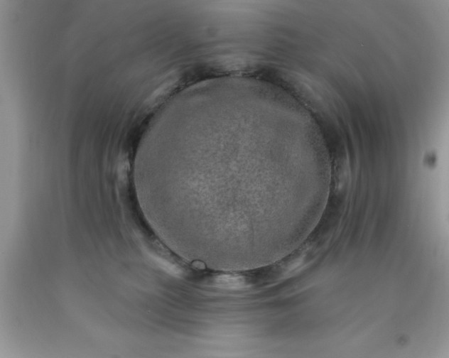 X0000090440279200707272201