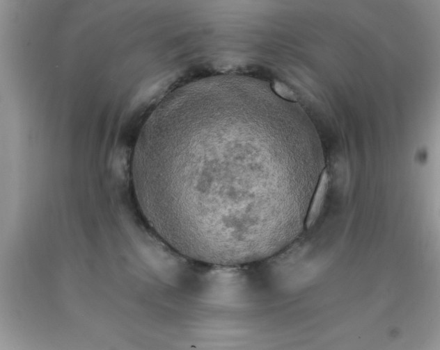 X0000090440280200707272201