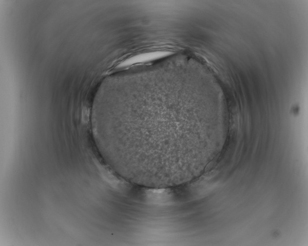 X0000090440281200707272201