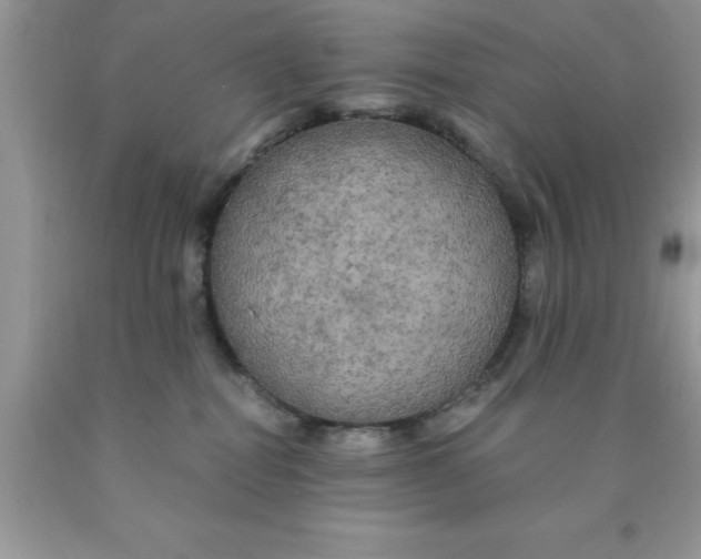 X0000090440282200707272201