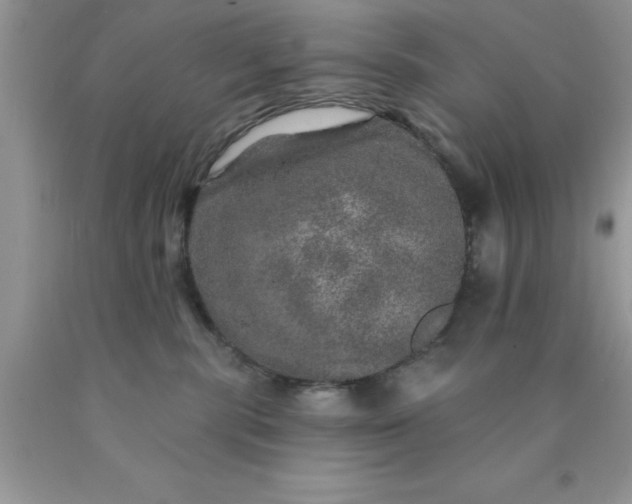 X0000090440283200707272201