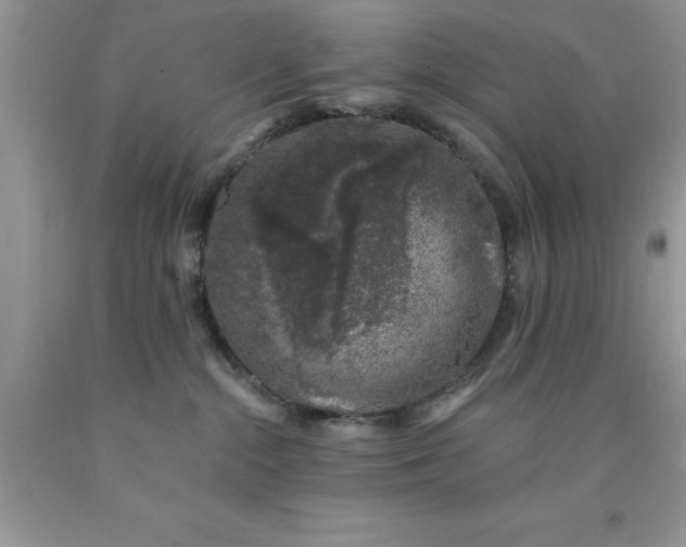 X0000090440284200707272201