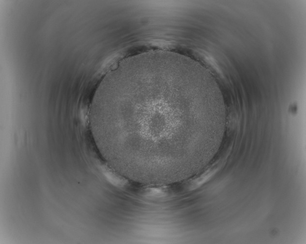 X0000090440285200707272201