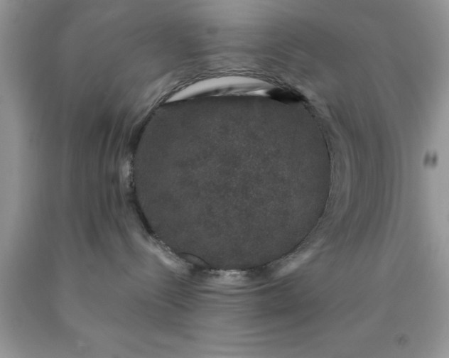 X0000090440288200707272201