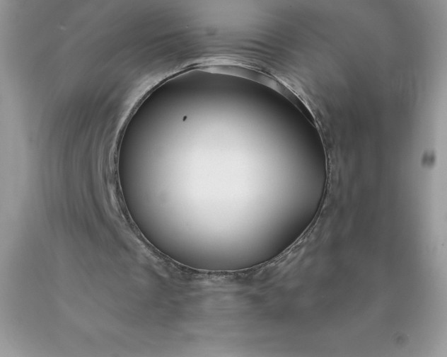 X0000090440289200707272200