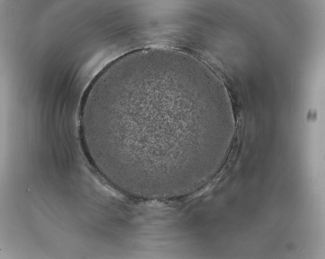 X0000090440290200707272200