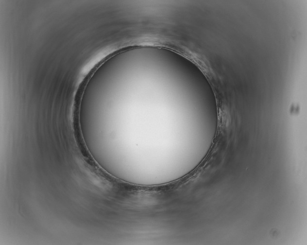 X0000090440292200707272200