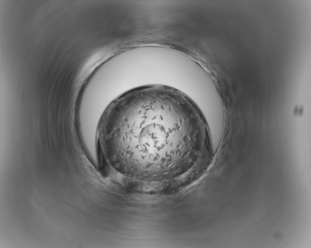 X0000090440293200707272200