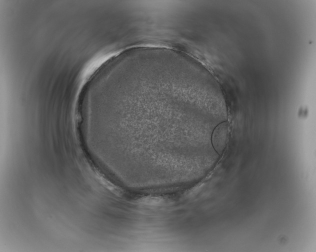 X0000090440294200707272200