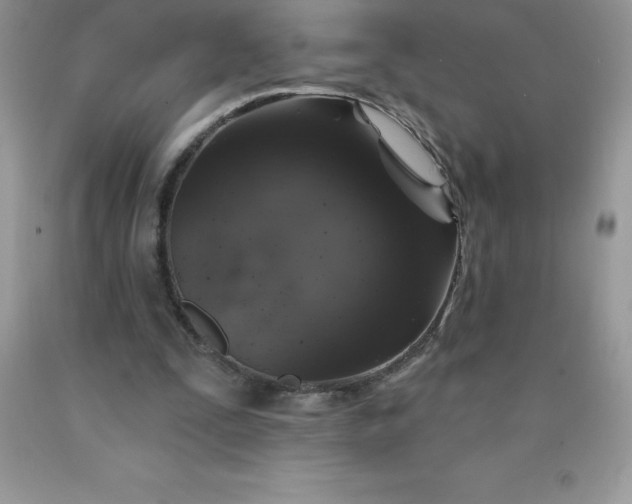 X0000090440295200707272200