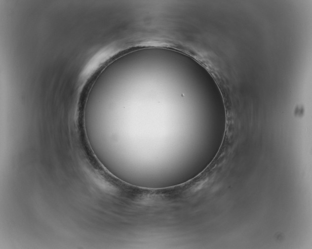 X0000090440296200707272200