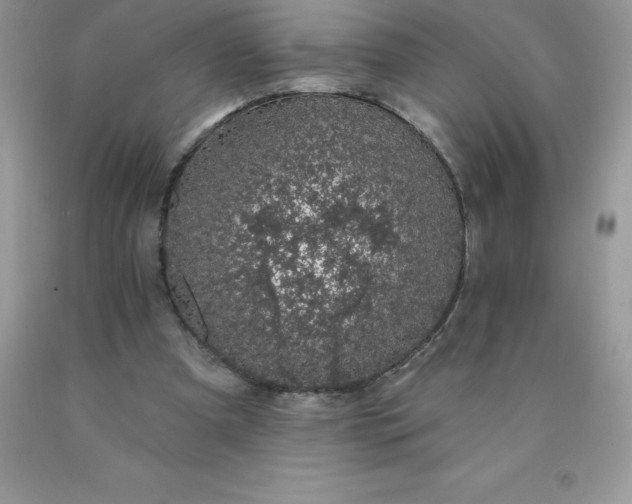 X0000090440297200707272200