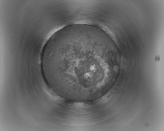 X0000090440298200707272200