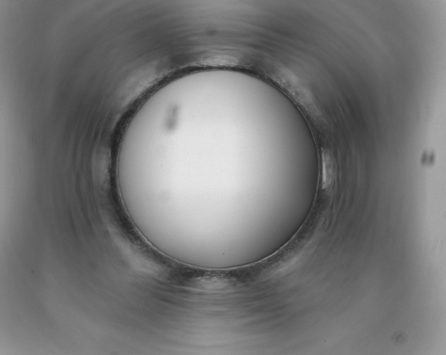 X0000090440300200707272200