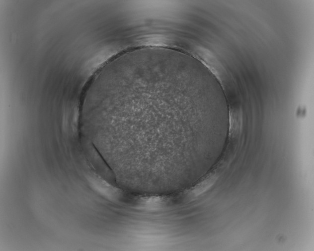 X0000090440301200707272200